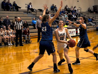 Luray advances to Bull Run title game with win over Madison