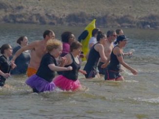 Polar Ice Plunge for PACA fundraiser in Page County