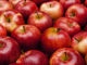 Apples