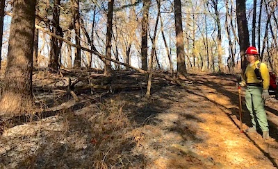 Small wildfire at SNP