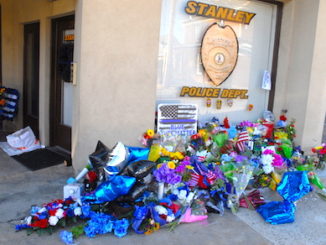 POW-Stanley PD flowers