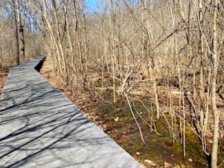 Shenandoah River State Park