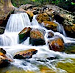 James Franklin Meadows