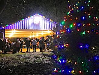 Shenandoah tree lighting