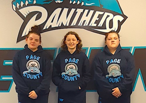 PCHS girls wrestling - state