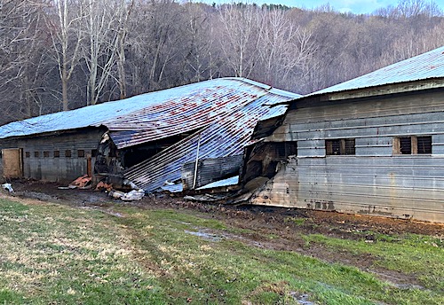 Pine Grove poultry house fire_inside