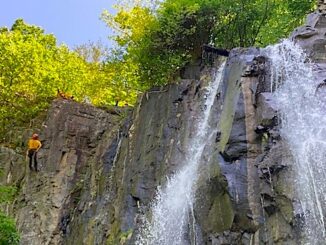 SNP_search near Over Run_May23