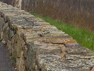 stone wall along Skyline Drive