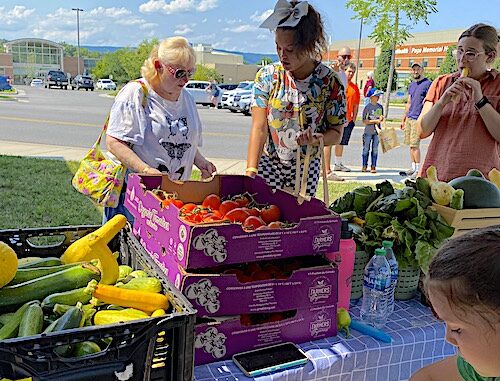 Community garden_PACA_inside