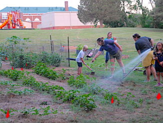 Springfield Garden_07_06_23