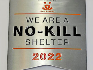 CO_Animal Shleter_NoKillaward