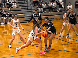 Luray v Harrisonburg