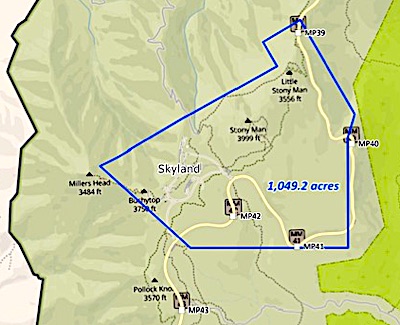 spongy moth spraying area (portion)