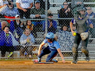 Page County High School Panthers softball