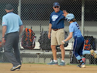 Page County High School softball