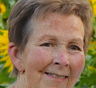 Ann Allan Amend Holsinger