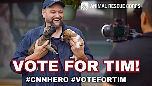 ARC_VoteForTim_CNN2025