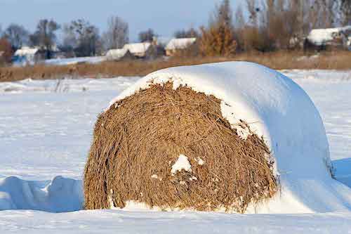 HayBale_Snow