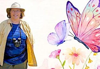 Butterflies